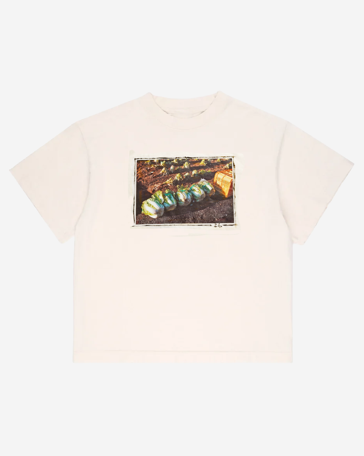 Boxy Tee - Painted Kyabetsu